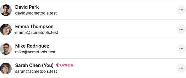 The list of active team members with their roles